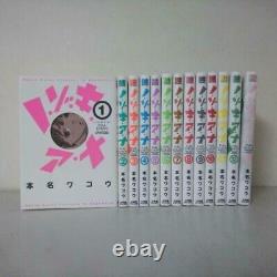 Nozoki Ana Full Color Vol. 1-13 complete Set comic manga Japanese Ver. Used JAPAN